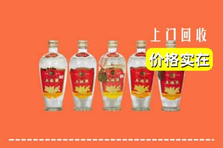 铁岭市昌图回收老五粮液